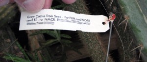 Back of an NMCR plant tag